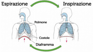 Impara A Controllare 3 Tipi Di Respirazione Per Allungare La Tua Vita