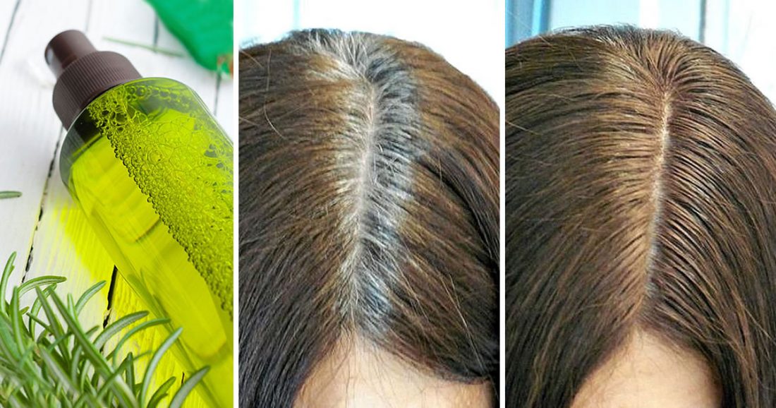 Come Nascondere I Capelli Grigi Con Il Rosmarino