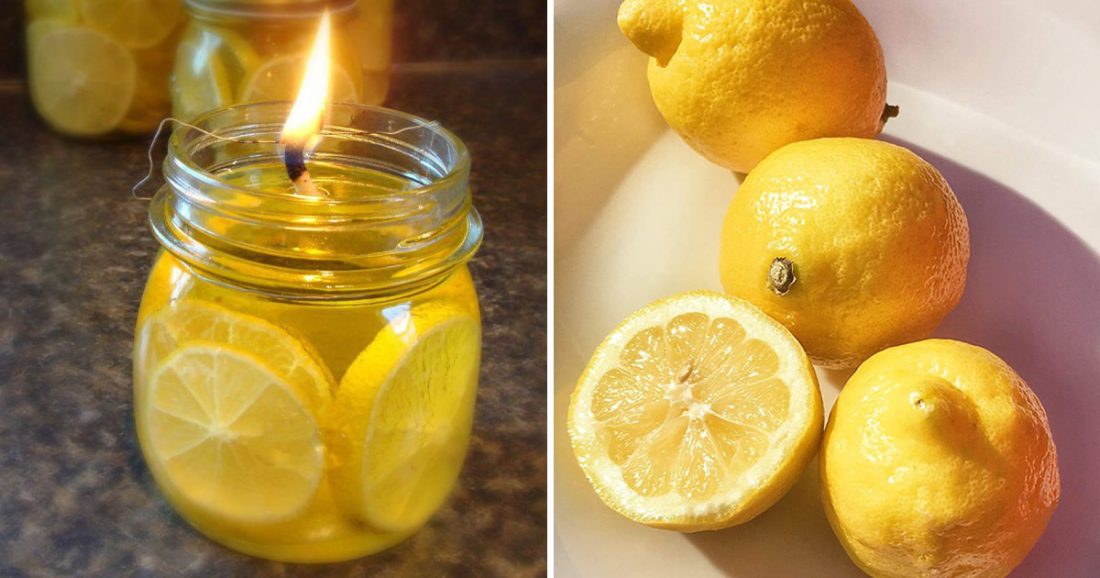 Come Fare Delle Candele Con I Limoni Per Profumare Tutta La Casa