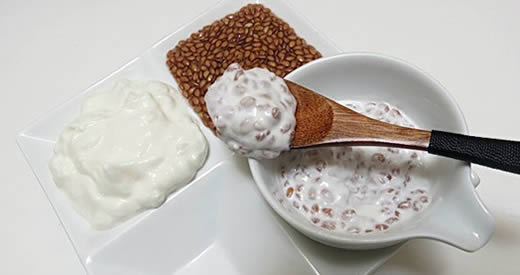 Leinsamen-Kefir-Dickdarm